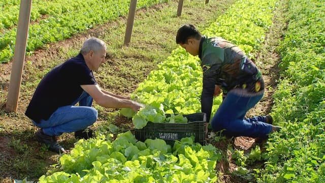 Família Roncoleta cultiva tradição agrícola por cinco gerações em São Paulo